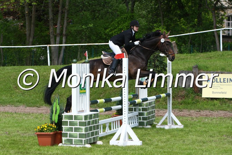 005M4690_Frisco_Stil A.JPG